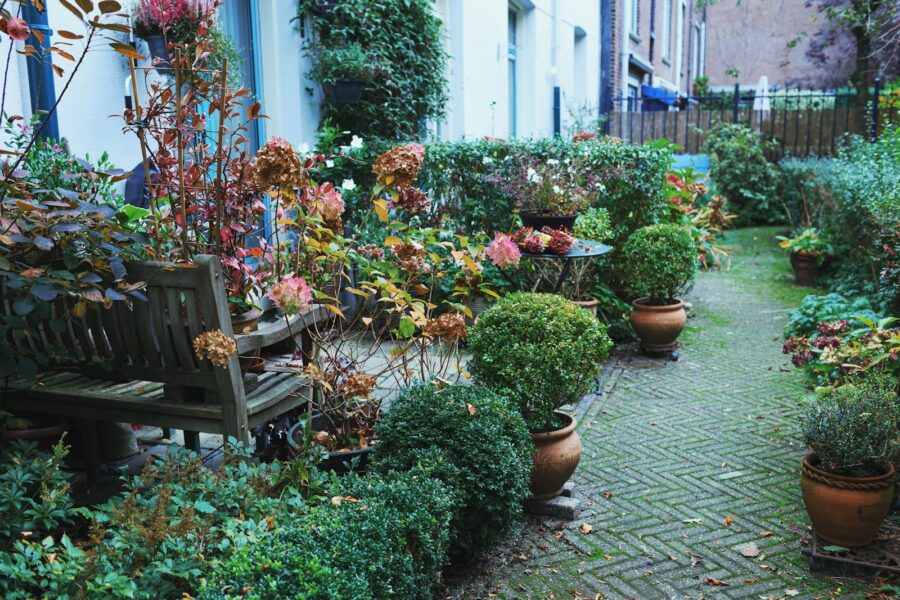 Small backyard autumn foliage perennials