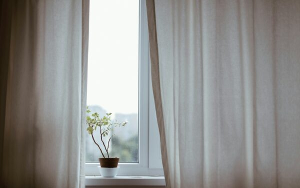 Bright indirect light explained: how to place houseplants for thriving growth