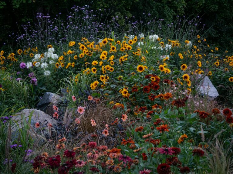 Perennial division home plot