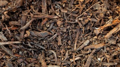 Building richer garden soil with compost and organic matter