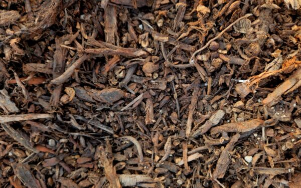 Building richer garden soil with compost and organic matter