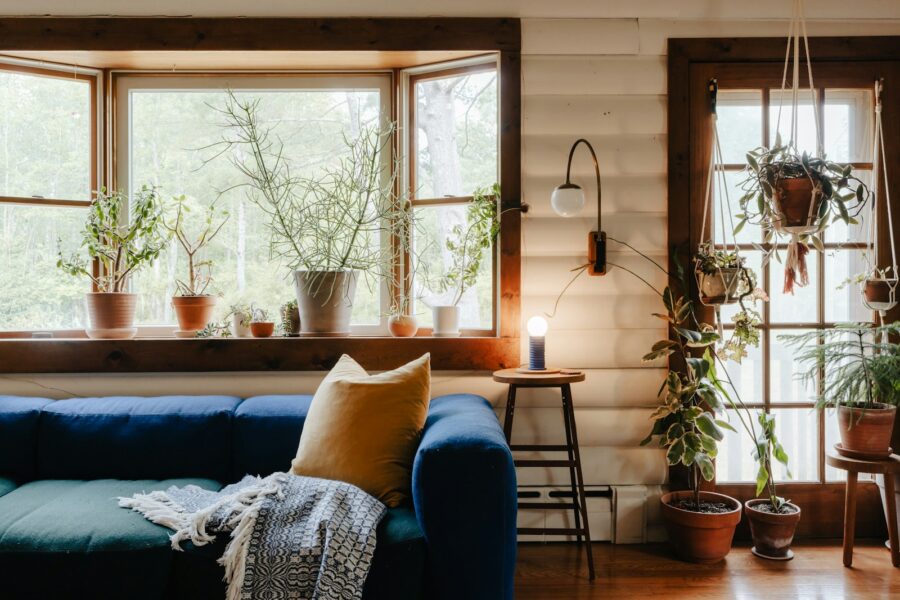 Living room medium light houseplants window
