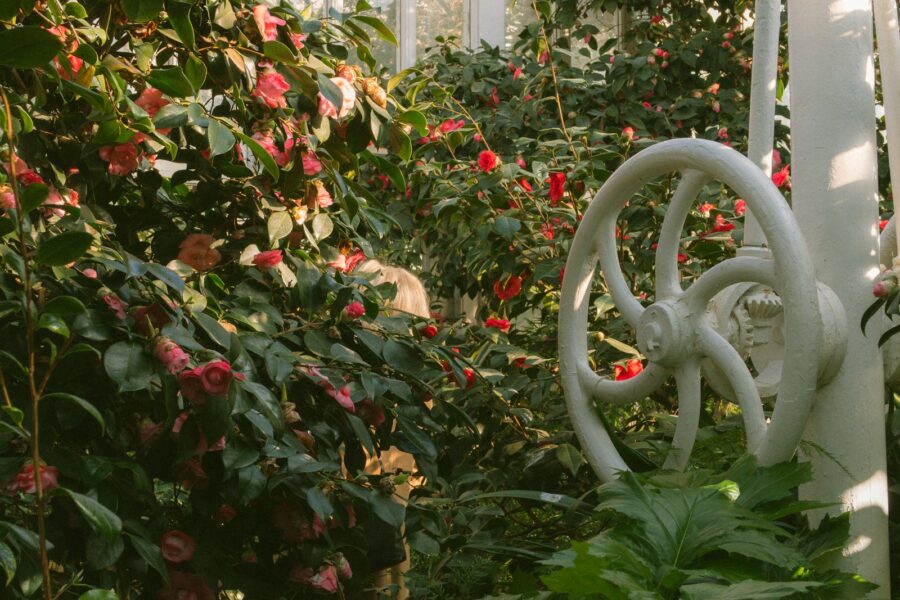 Watering can hose nozzle patio plants