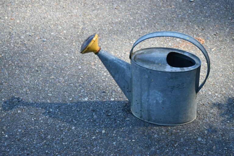 Metal watering can rose close