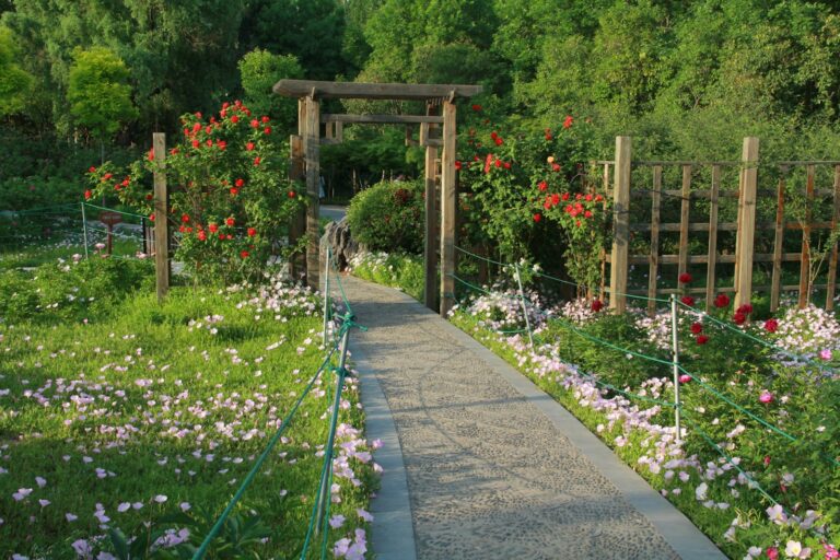 Rose archway over garden path