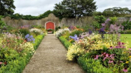 Color-coordinated flower borders that make any outdoor space feel intentional