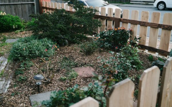 Common mistakes new home growers make and how to avoid them