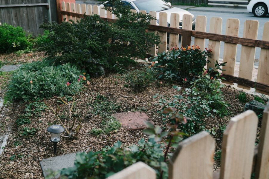 Backyard vegetable bed raised wooden planter