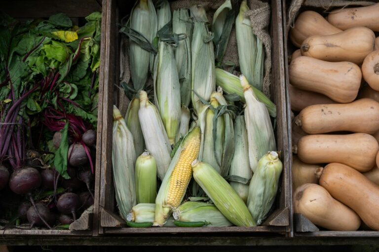 Corn beans squash companion plants carrots leeks raised