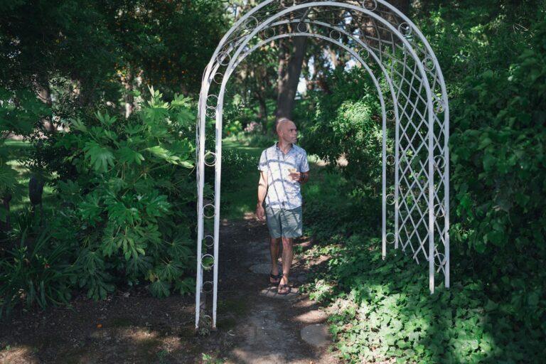 Metal garden arch front path