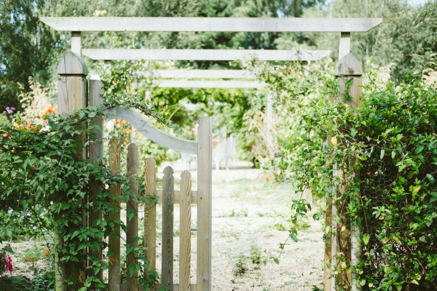 Rustic wooden gate arch climbing plants