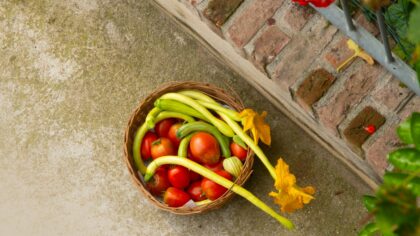Designing a mixed flower and vegetable bed with companion planting