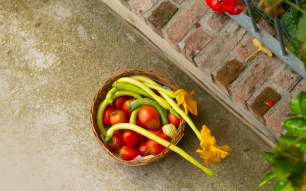 Designing a mixed flower and vegetable bed with companion planting