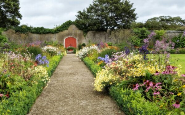 Early spring care for perennials that come back stronger every year