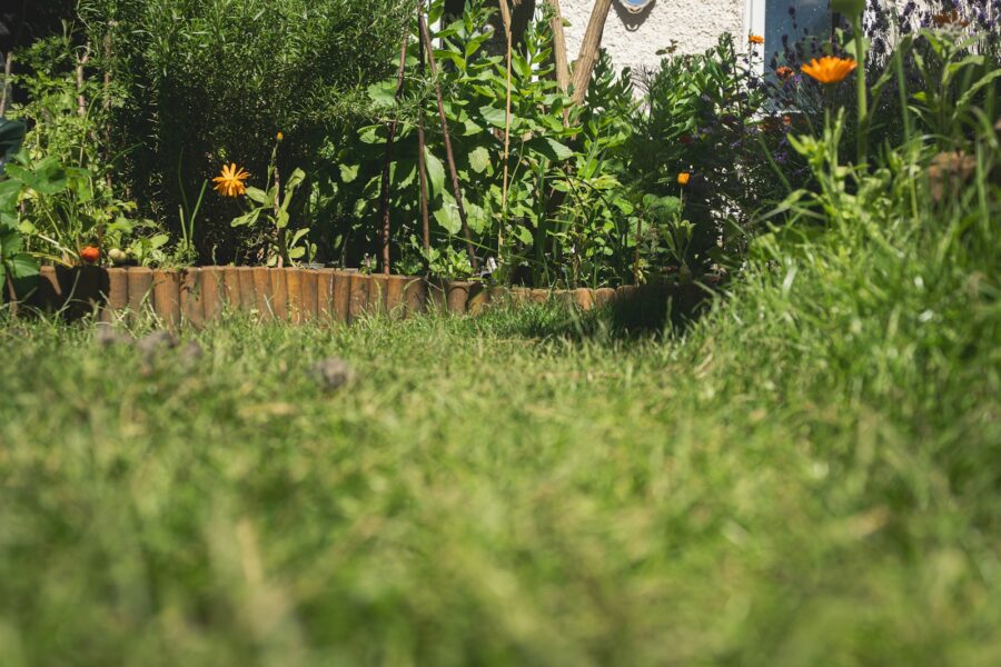 Perennial flower bed backyard border