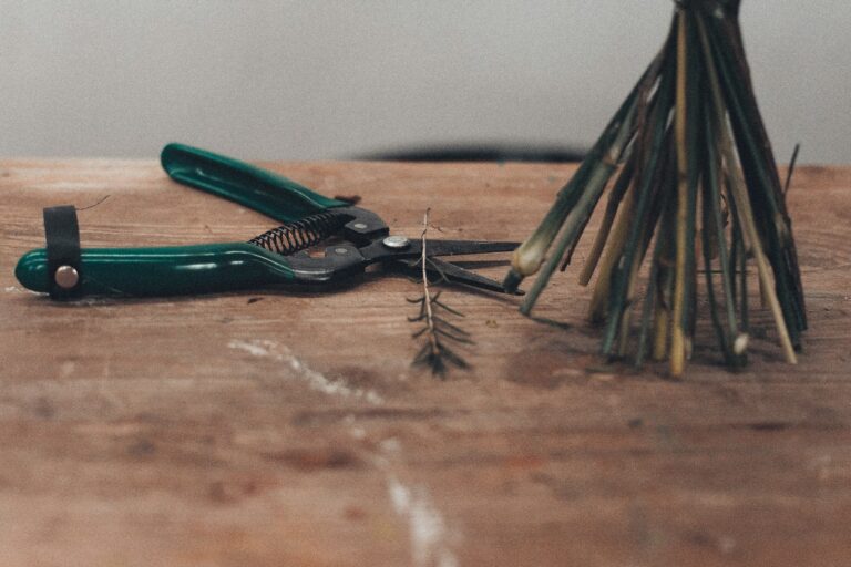 Hand pruners cutting plant stems small hand rake