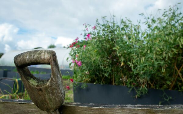 Essential hand tools for beginners and how to use them safely