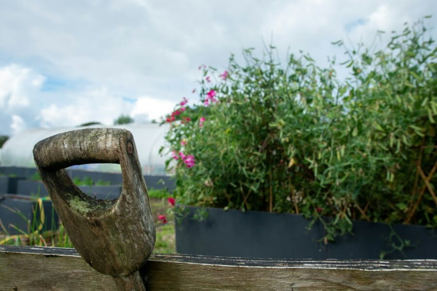 Hand trowel gloves soil raised bed
