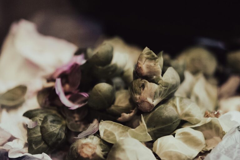 Compost bin kitchen scraps leaves