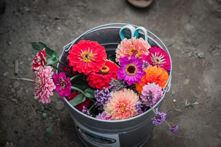 Hands harvesting garden flowers bouquet bucket