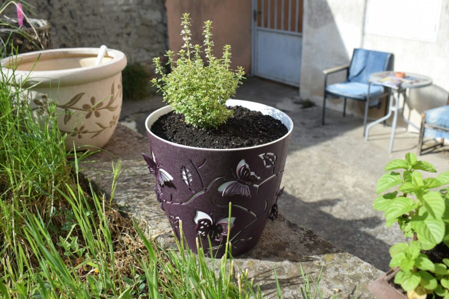 Balcony herb garden small pots