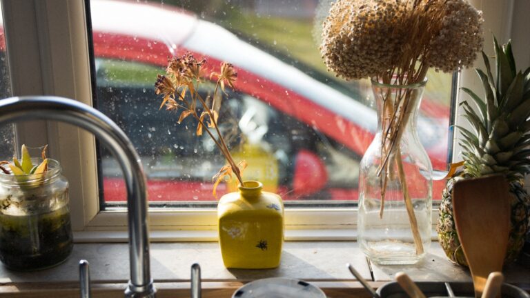Herb plants sunny kitchen windowsill