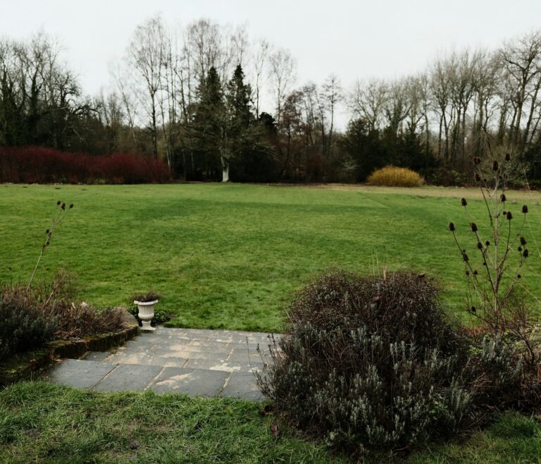 Stepping stones through lawn