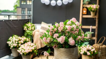 How to turn a plain balcony into a lush container retreat