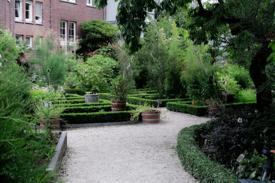 Modern yard hedge shrubs gravel path