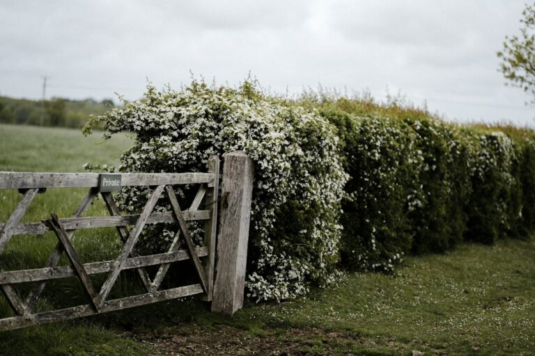 Mixed native hedge close