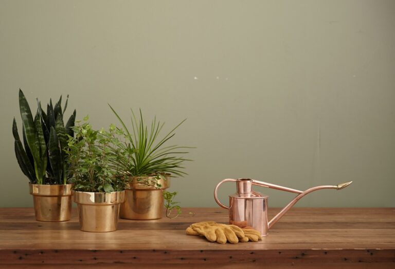 Watering low light indoor pot finger test