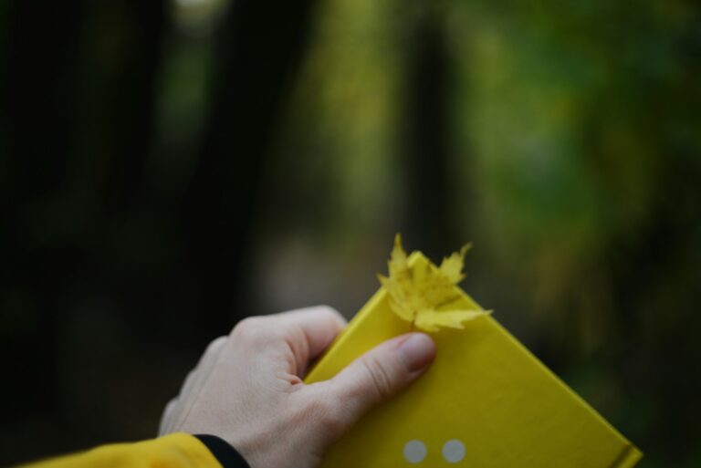 Whitefly infestation sticky trap yellow card