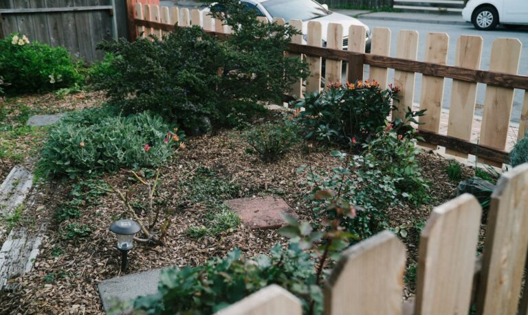 Gardener spreading wood chip mulch around plants