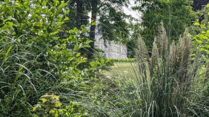 Natural summer gardens: how to plan a relaxed, wildlife-friendly retreat