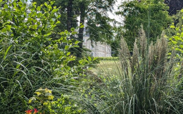Natural summer gardens: how to plan a relaxed, wildlife-friendly retreat