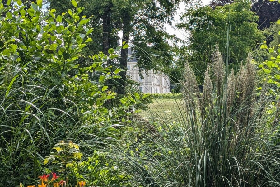 Natural summer garden border grasses perennials