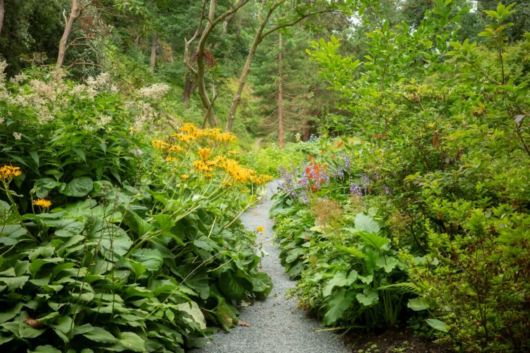 Gardener using hoe weed garden path