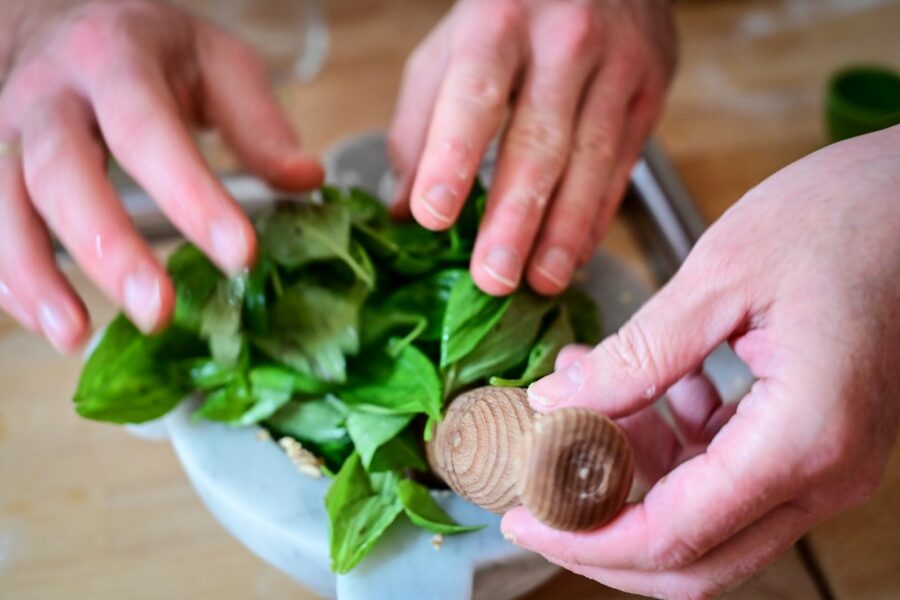 Hand pinching basil stems