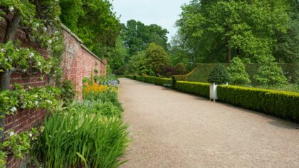 Planting ideas to turn a plain driveway into a welcoming garden approach