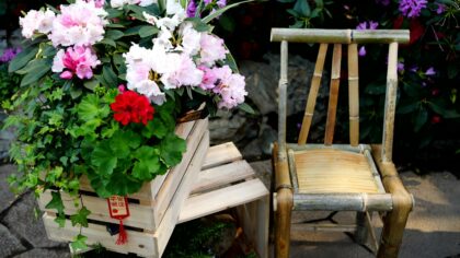 Porch garden ideas to turn your entrance into an outdoor room