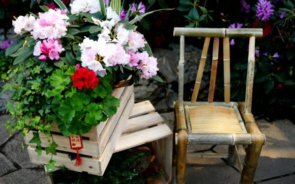 Porch garden ideas to turn your entrance into an outdoor room