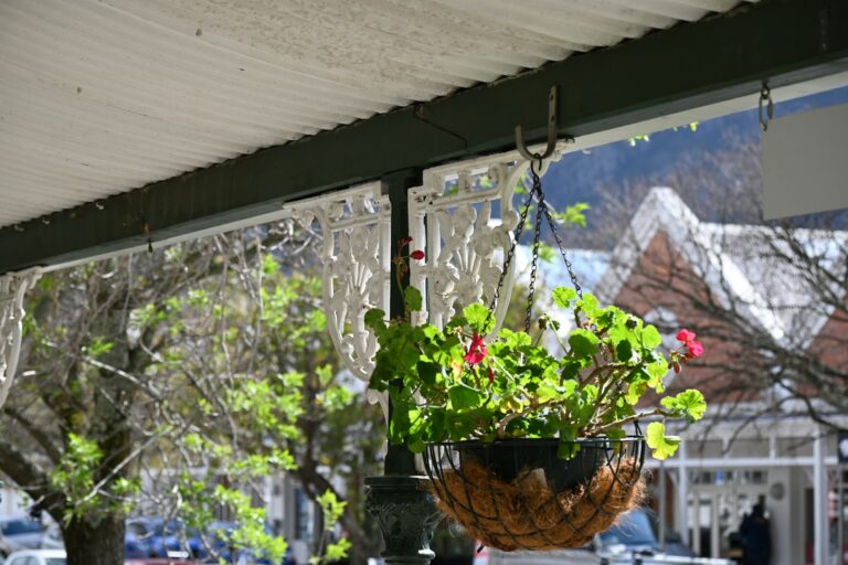 Shaded porch ferns hanging baskets