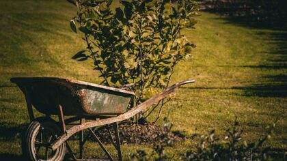 Safe lifting for yard and allotment work to protect your back