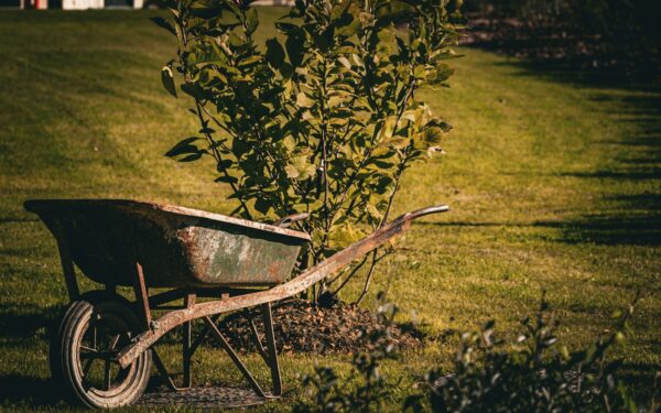 Safe lifting for yard and allotment work to protect your back