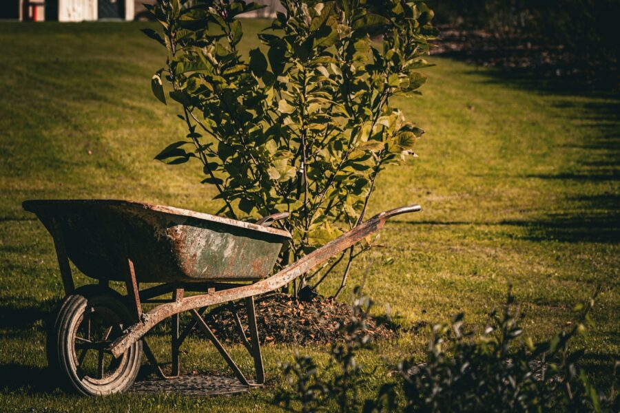 Wheelbarrow soil shovel backyard