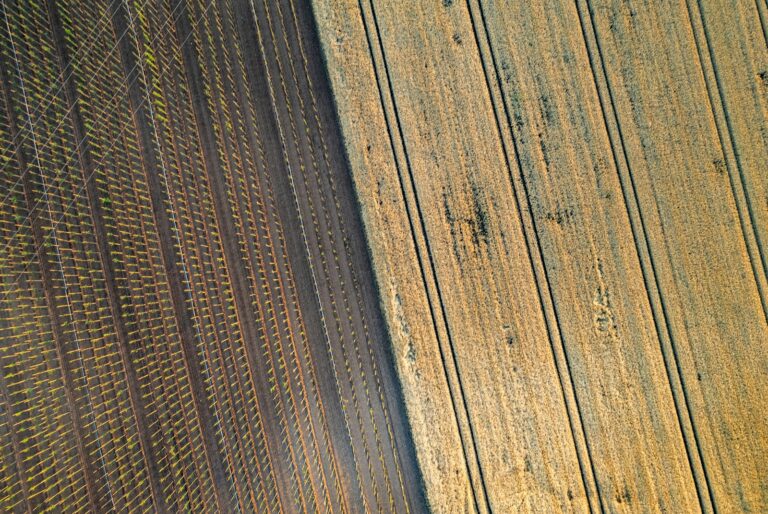 Home vegetable patch overhead view crop rotation notebook