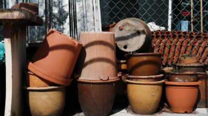 Smart drainage for container gardens that do not stay soggy