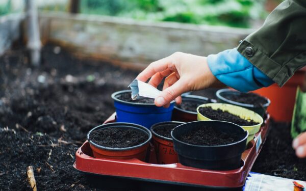 Soil pH basics for healthier home gardens