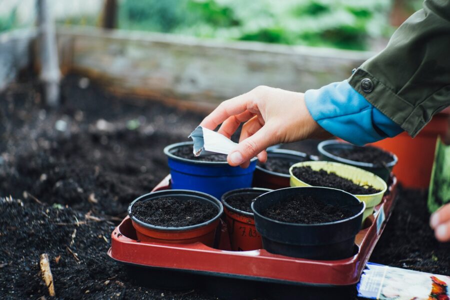 Hand testing garden soil test kit