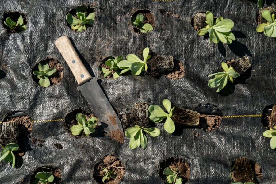 Garden soil tester trowel raised bed